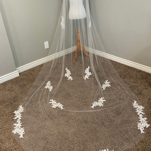 Cathedral veil with soft appliqués