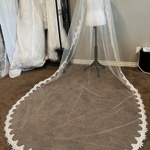 Scallop edge lace veil