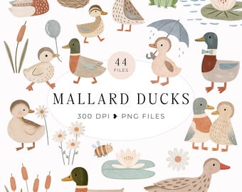 Mallard Duck Clipart, Baby Shower Graphics, Boy Nursery Art, Commercial Use, Digital Download