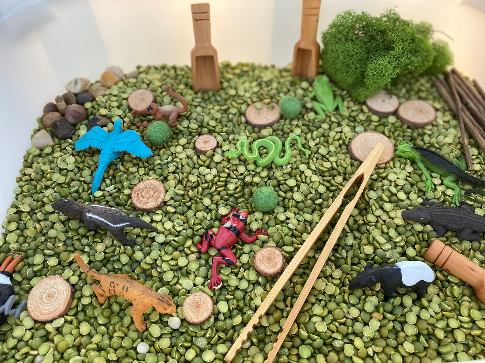 Amazon Rainforest Sensory Bin Reggio Emilia Waldorf Etsy