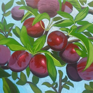 Plums