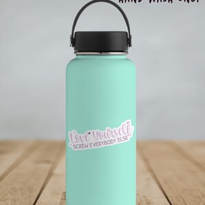 A stack of vinyl die cut sticker with purple text reading, "Love Yourself. Screw Everybody Else." Shown on a teal waterbottle.