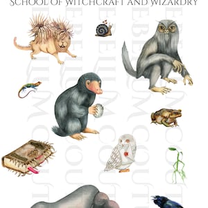 魔法生物の世話、魔法学校、png ファイル、デジタル ダウンロード、昇華デザイン