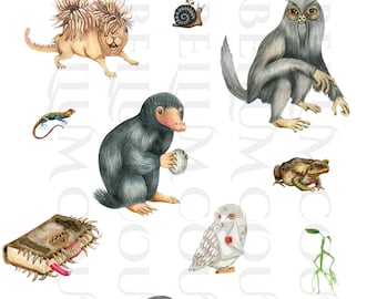 Care of Magical Creatures, school of witchcraft, png file, digital download, sublimation designs