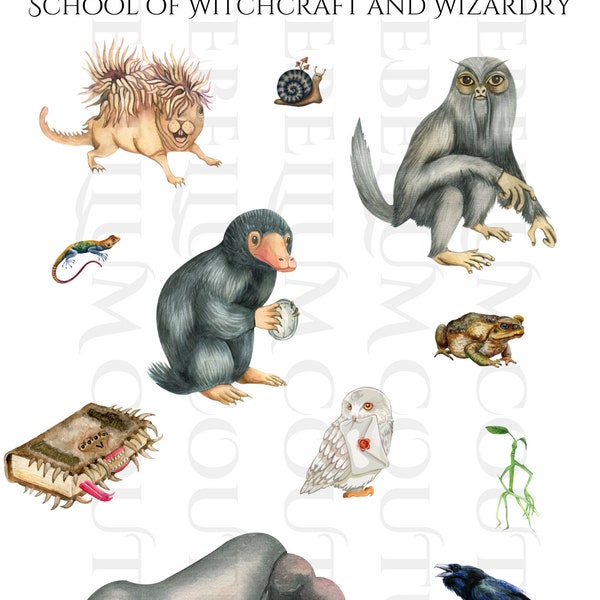 Care of Magical Creatures, school of witchcraft, png file, digital download, sublimation designs