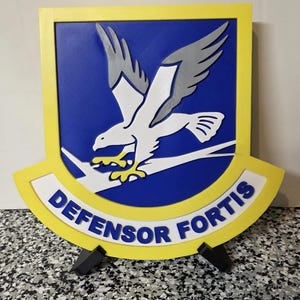 Defensor Fortis Flash Display | Air Force Security Forces Decor with Stand