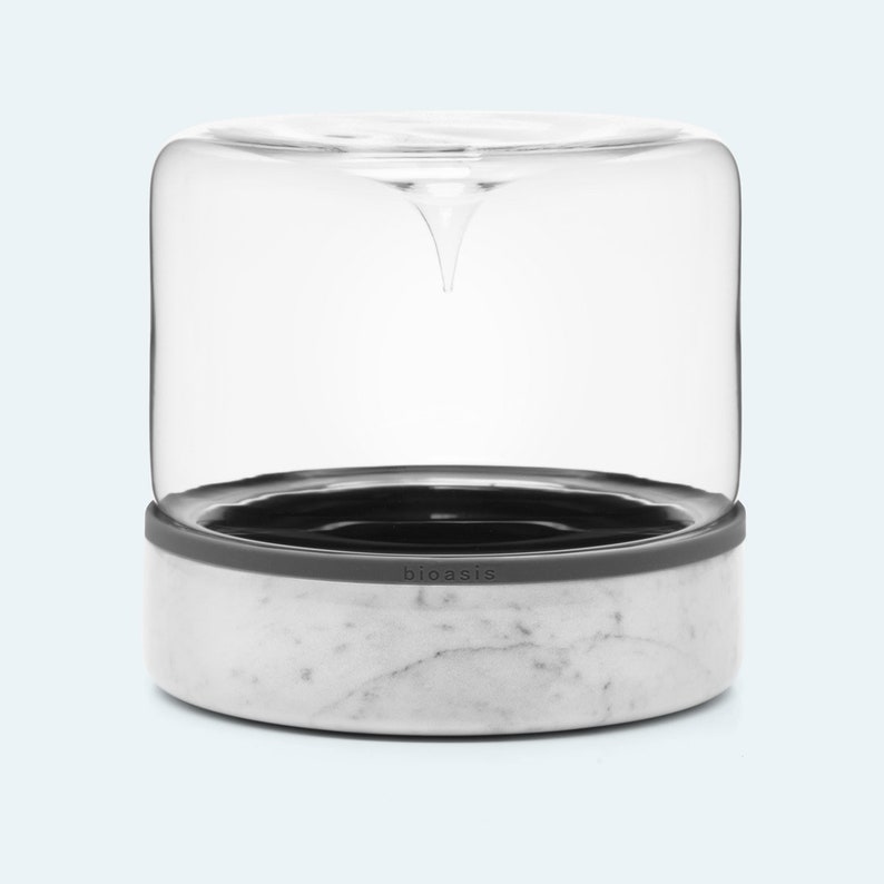 May include: A white marble and glass countertop food storage container with a gray silicone seal. The container has the word "bioasis" printed on the seal.