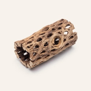 Aquarium Woods - Cholla Wood for Planted Tanks, Aquascaping and Fish Tanks