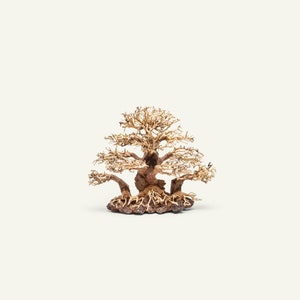 May include: A decorative bonsai tree made of driftwood with a brown base. The tree has a natural, weathered look and is perfect for adding a touch of nature to any space.