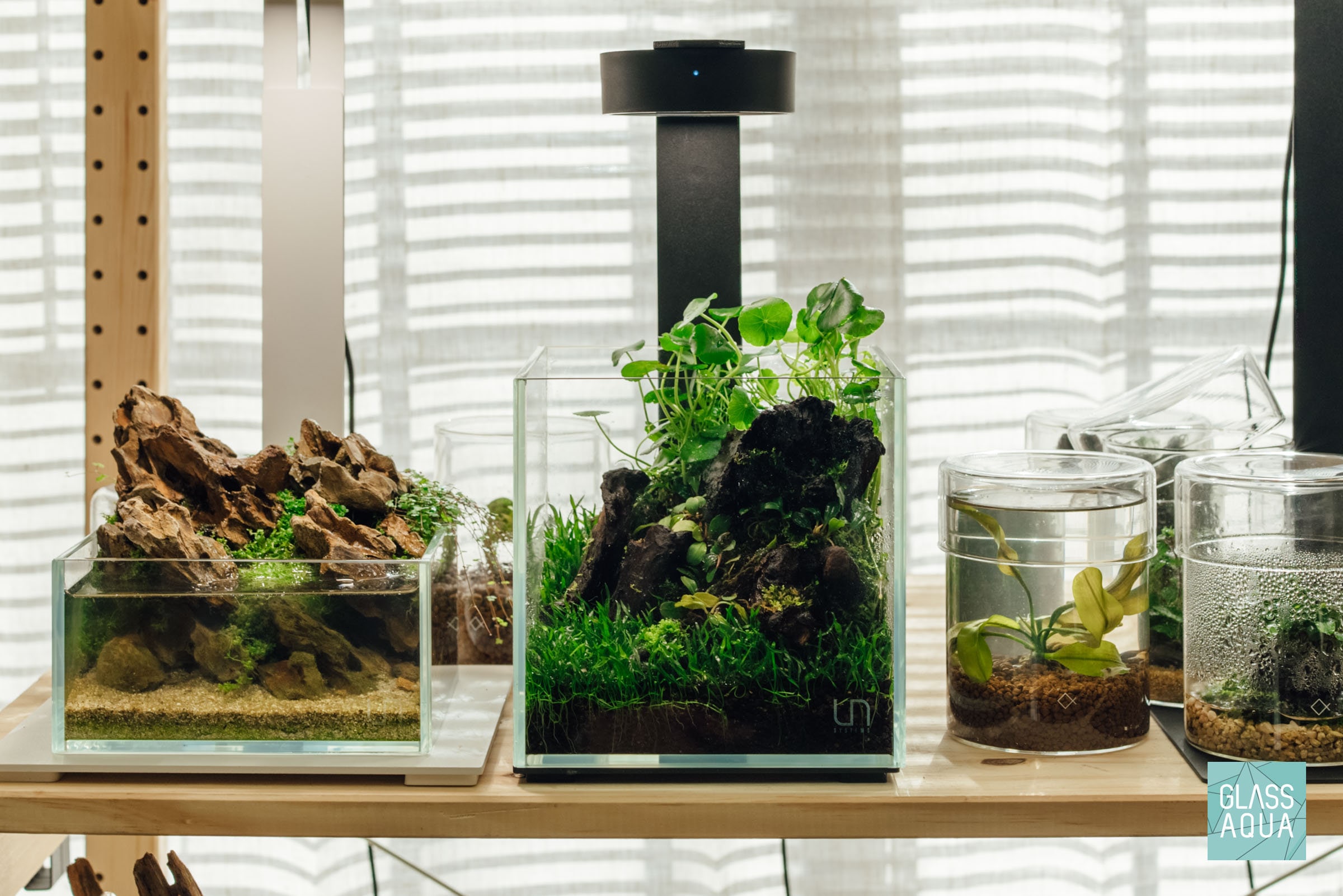 Cube Rimless Aquarium, High Quality Ultra Clear Seamless Glass Tank ...