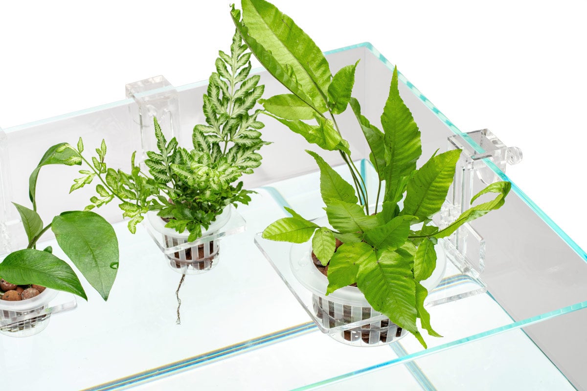 Aquarium Plant Pots | Aquarium Pothos Holder - Small Stable Planting Basket For Pond Garden, Desk Decorations For Wall Window Corner Shelf