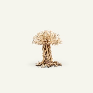 Bonsai Tree Aquarium Driftwood - Natural Wood for Aquarium, Terrarium, Aquarium Tree, Aquascape, Betta Fish Tank, Planted Tank Bonsai Trees