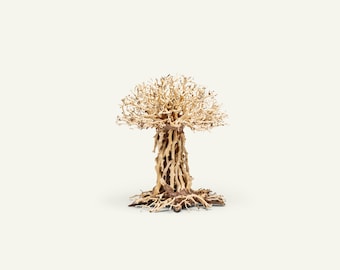 Bonsai Tree Aquarium Driftwood - Natural Wood for Aquarium, Terrarium, Aquarium Tree, Aquascape, Betta Fish Tank, Planted Tank Bonsai Trees