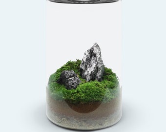 DIY Terrarium Kit - Mossarium Glass Terrarium with LED Light, Ventilated Lid for Fairy Garden, Jewel Orchid, Closed Terrarium, Indoor Garden