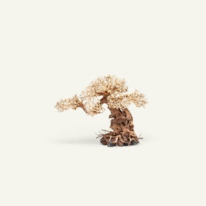 Bonsai Tree Aquarium Driftwood - Natural Wood for Aquarium, Terrarium, Aquarium Tree, Aquascape, Betta Fish Tank, Planted Tank Bonsai Trees