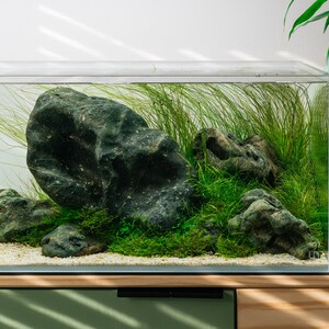 Shop Hakkai Stone Hardscape - Glass Aqua