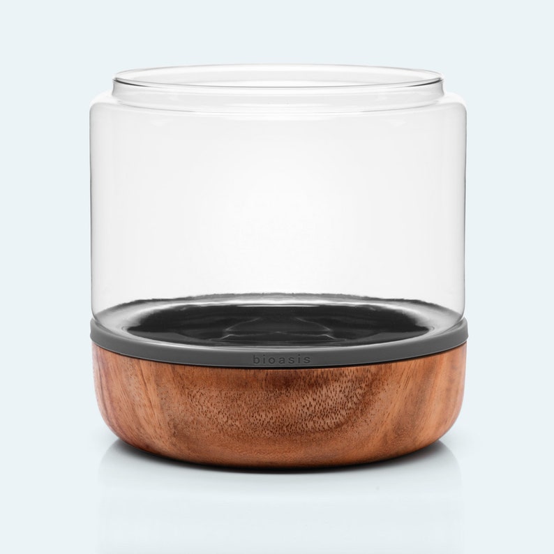 May include: A clear glass jar with a gray silicone ring and a wooden base. The base is made of acacia wood and has the word "bioasis" printed on it.