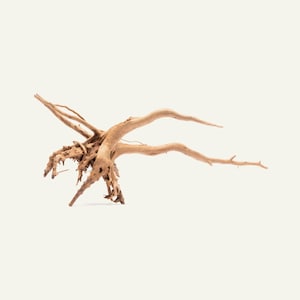 Aquarium Driftwood Spider Wood | Natural Hardscape for Aquascaping, Planted Tanks, Terrariums, Vivariums & Fish Tank Decoration