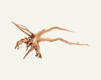 Aquarium Driftwood Spider Wood | Natural Hardscape for Aquascaping, Planted Tanks, Terrariums, Vivariums & Fish Tank Decoration