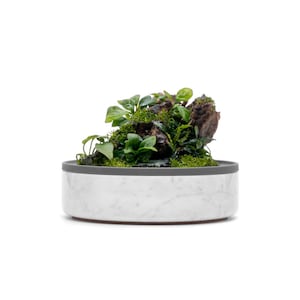 May include: A white marble planter with a gray rim, featuring a small green plant and a piece of driftwood.