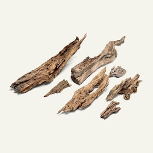 Forest Driftwood, Aquarium Hardscape Wood for Aquascaping, Planted Tank or Terrarium, Natural Wood For Aquatic Plants, Fish Tank Decor