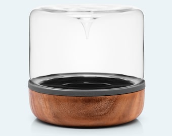 Desktop Terrarium (Glass Container) - Fairy Garden, Moss Gardens