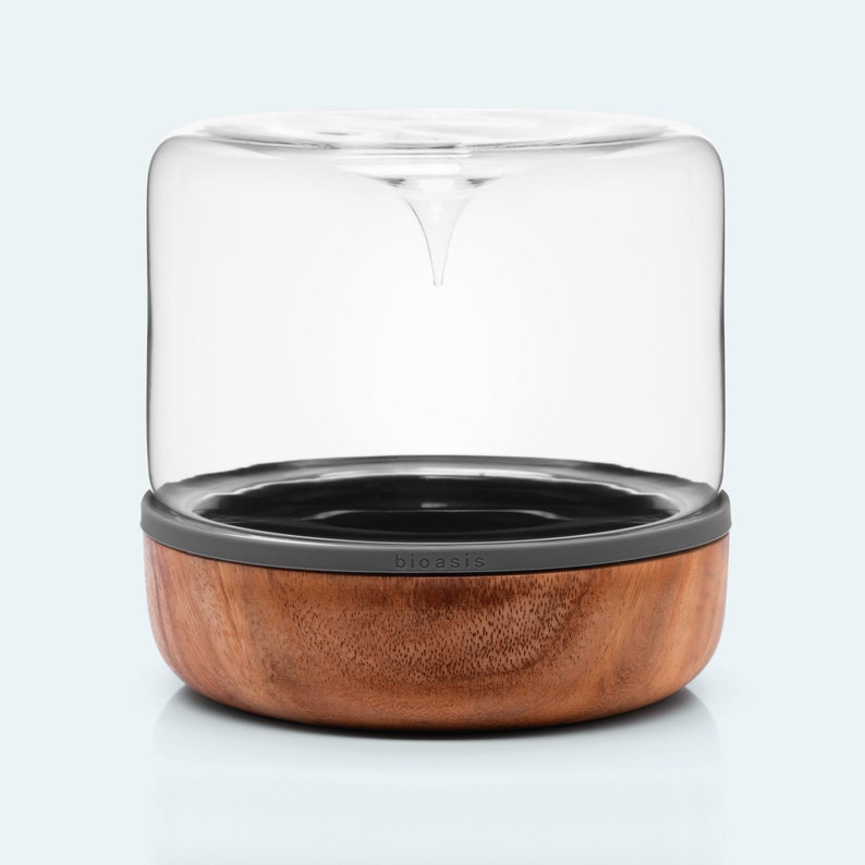 May include: A clear glass diffuser with a wooden base and a gray silicone ring. The diffuser has a small spout at the top and the base has the word "bioasis" printed on it.