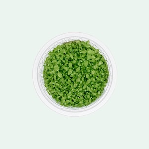 Micranthemum Monte Carlo - Carpeting Plants, Live Aquarium Plants, Aquascaping Plants, Tissue Culture Tiny Plant for Fish Tank