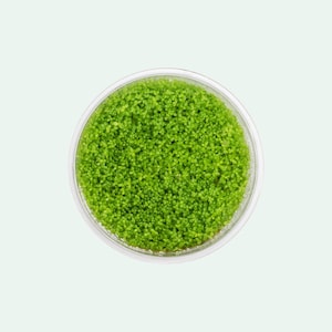 May include: A clear, round container filled with vibrant green aquatic plants. The plants have a dense, textured appearance, creating a lush, natural aesthetic. The container is set against a soft, light green background.
