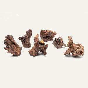 Malaysian Driftwood Stump for Planted Aquarium Tank, Terrarium and Aquascaping - Decorative Aquatic Wood - Natural Driftwood