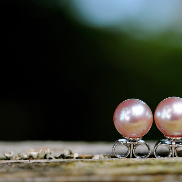 Pretty 6.5mm Lavender Pink/Purple Pearl Earring Studs