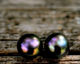 Black Peacock Pearl Stud Earrings: Sterling Silver Posts