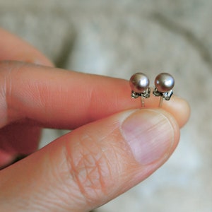 May include: A pair of silver stud earrings with small, round, light purple pearls.