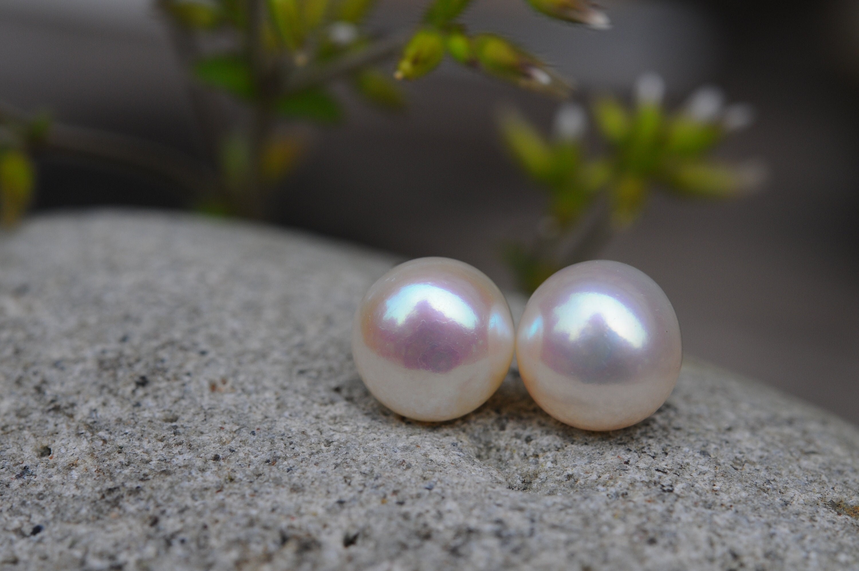 10mmの定番ホワイトパールスタッドピアス（ゴールドメッキスターリング