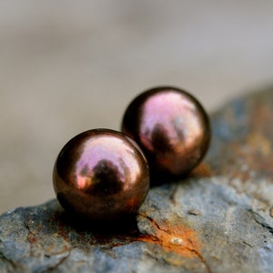 Pode incluir: Duas pérolas marrons escuras com reflexos iridescentes, descansando sobre uma rocha texturizada cinza e marrom.
