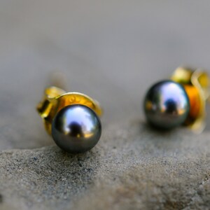 4mm Dark Grey Pearl Studs: Gold Plated Sterling Silver Earrings