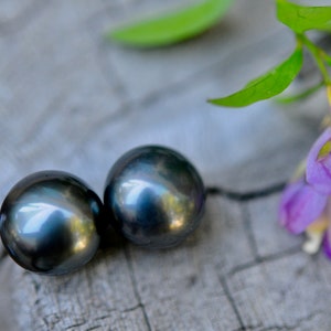 Puede incluir: Dos pendientes de perlas gris oscuro sobre una superficie texturizada gris claro con una flor morada en el fondo.