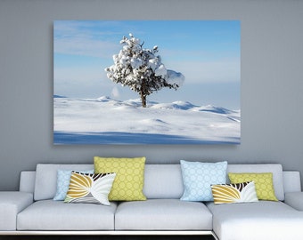 Alone Winter  Snow Tree, Minimalism, fine art photography, canvas, print-large wall decor,  Nature, Winter Wonderland, Pacific Northwest