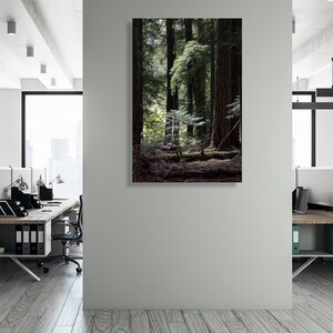 Fotografía de bellas artes de bosques salvajes, lienzo, decoración de paredes impresas, Portland Oregon, cartel del bosque de Oregon, Noroeste del Pacífico