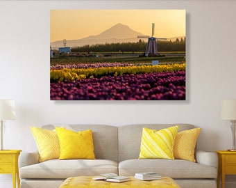 Tulip farm and mount Hood at sunrise fine art photography, canvas, print-large wall decor, Portland print, Oregon, Pacific Northwest