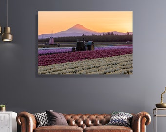 Tulip farm and mount Hood at sunrise fine art photography, canvas, print-large wall decor, Portland print, Oregon, Pacific Northwest