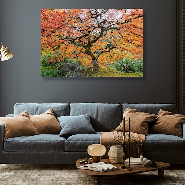 Portland's Japanese Garden Maple Tree- Original Photo Art Work -fine art photography canvas print Pacific Northwest, wall décor,