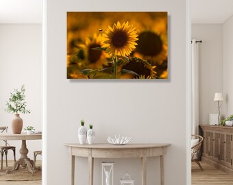 Sunflowers and a Bee- Original fine art photography - Hillsboro, Portland, Oregon, Pacific Northwest, canvas print, wall décor, flower, art