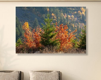 Fall forest fine art photography, canvas, print-large wall decor, Hood River, Oregon forest, wall art, holiday gift