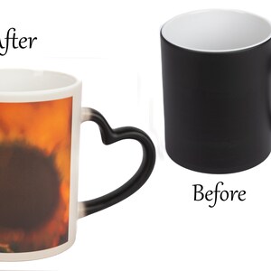 Oregon Magic Mug -Sunflowers & the Bee, Sublimation Mug -Original Gift Art Work of a local Photographer 12oz Ceramic Pacific Northwest