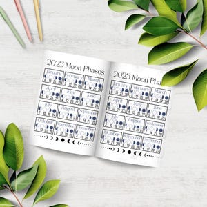 2025 Moon Phase Calendar Printable, Lunar Phases Guide, Astrology Digital Download, Planner Insert, PDF, Can be UsedPrintable or Digital