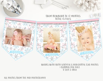 Snowflakes Monthly photo banner, winter onederland first birthday banner, blue pink and silver birthday party bunting, instant download