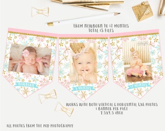 Snowflakes Monthly photo banner, winter onederland first birthday banner, blue pink and gold birthday party bunting, instant download