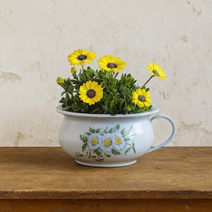 Orinal antiguo esmaltado / Flores blancas y amarillas / Vintage shabby y rústico / Con margaritas / Esmaltado / Circa 1930/1940
