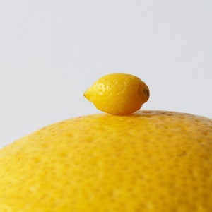 5x Cute Miniature Dollhouse Lemons - Scale 1:12